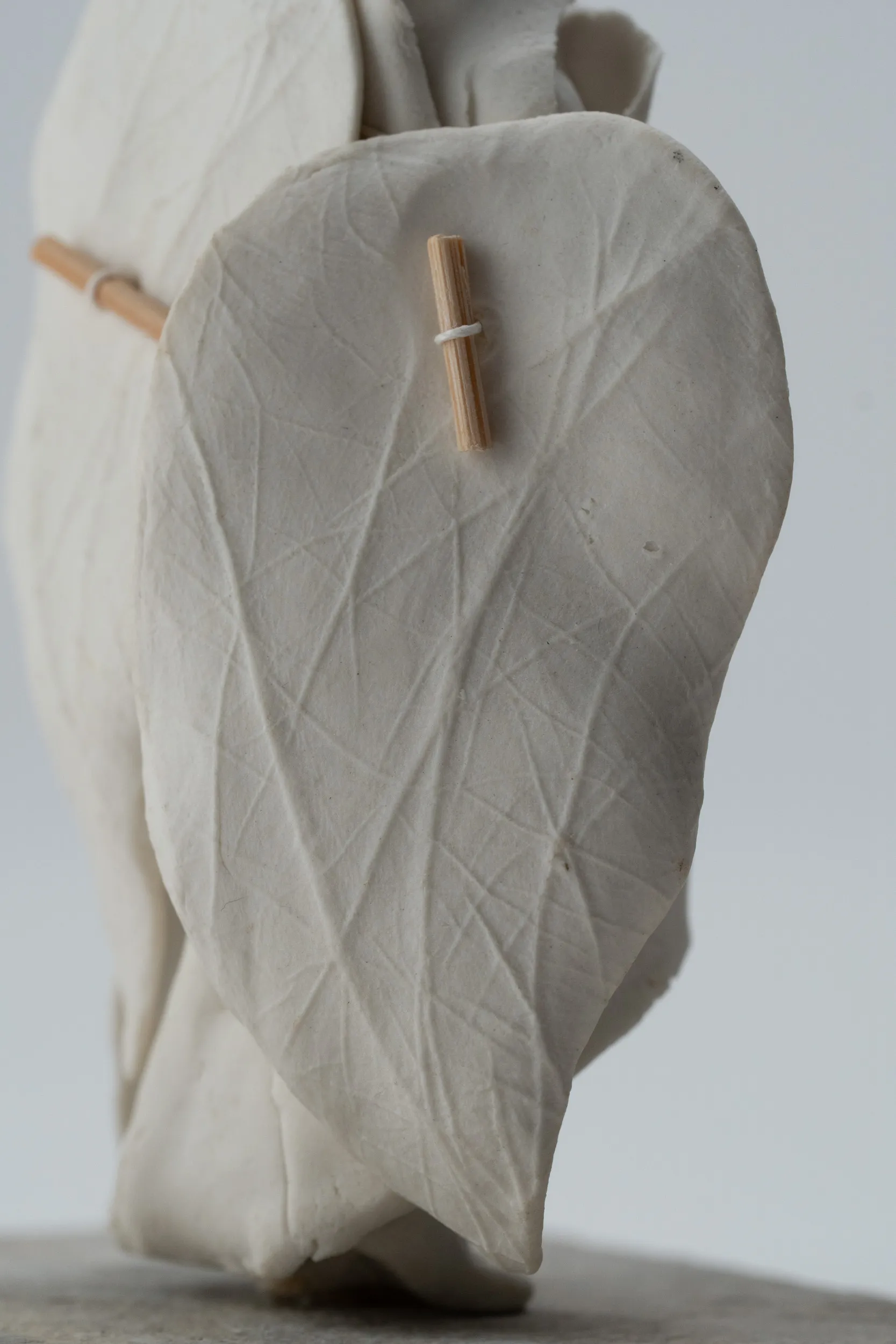 Emergence Mireille-Rigotti